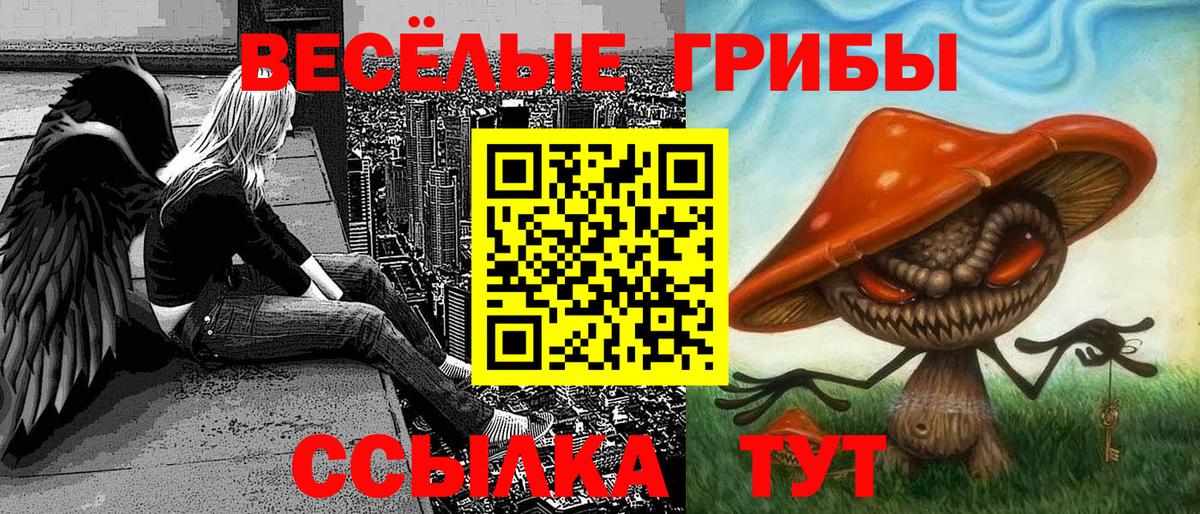 Галлюциногенные грибы мицелий Рузаевка