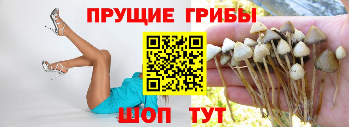 где купить наркоту  Галлюциногенные грибы ЛСД  Рузаевка  Вход с VPN  Галлюциногенные грибы мухоморы 